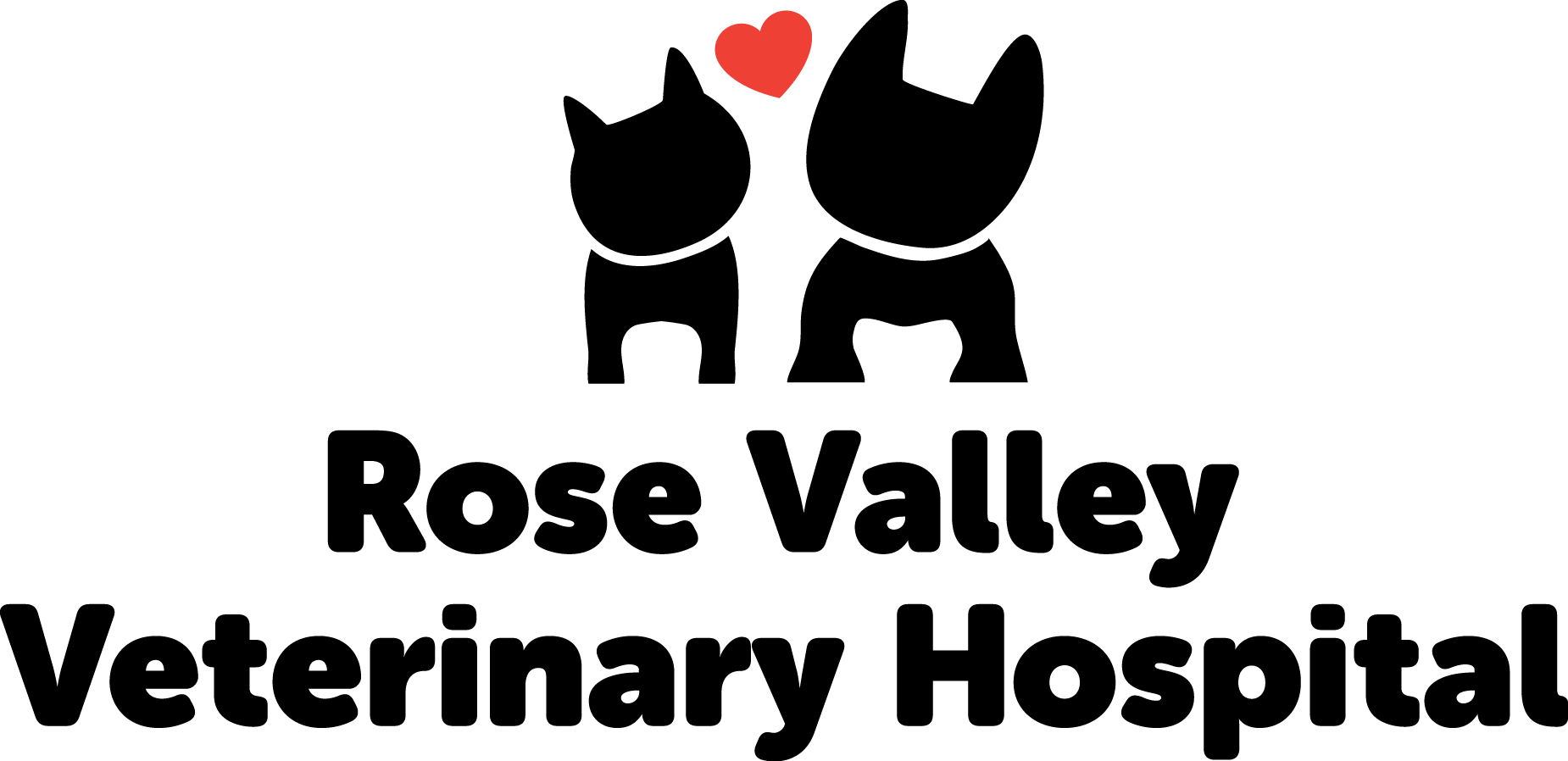 West Kelowna Vet Clinic - Summerland Animal Clinic (1850x898), Png Download