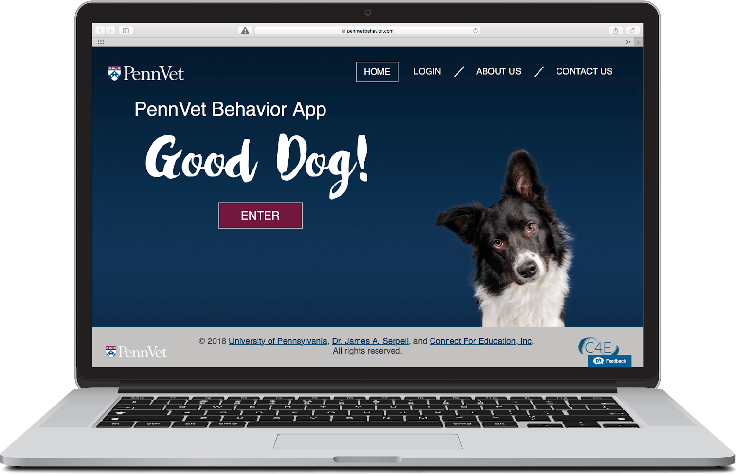 In Partnership With University Of Pennsylvania's School - Veterinary Physician (1600x1099), Png Download