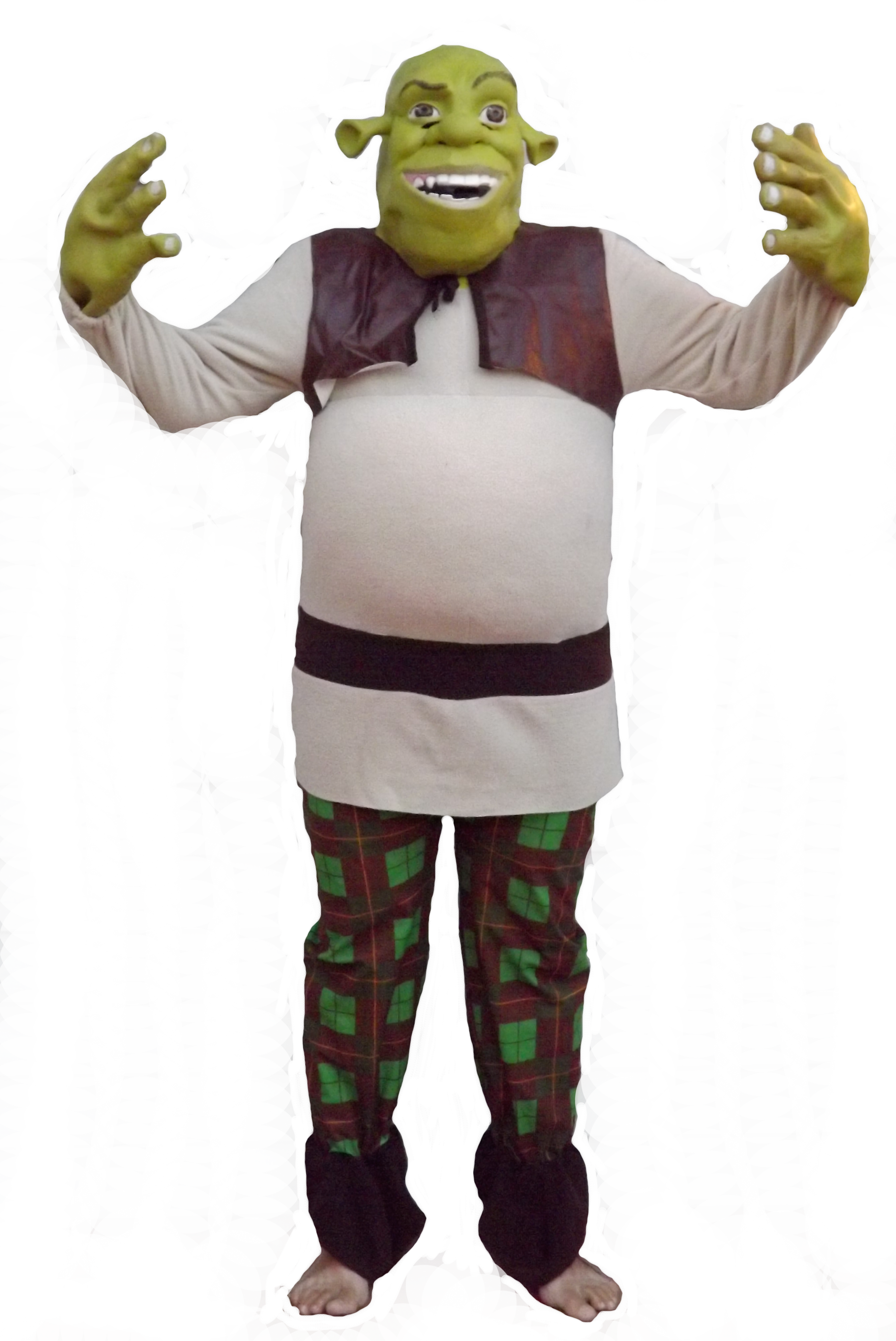 Little Girl Princess Dresses For The Whole Party - Mascot (2718x4068), Png Download