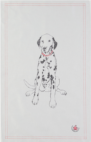 Dalmatian (600x600), Png Download