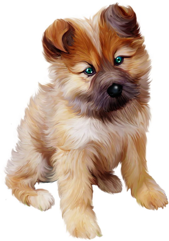 Фото, Автор Иришка-манюшка На Яндекс - Puppy Png (539x770), Png Download