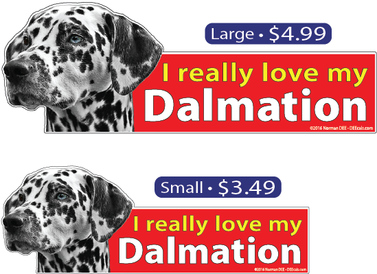 I Love My Dalmation - My Dalmation Journal [book] (549x399), Png Download