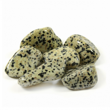 Jasper Dalmation 1 Pcs 40-50mm - Pitaya (500x370), Png Download