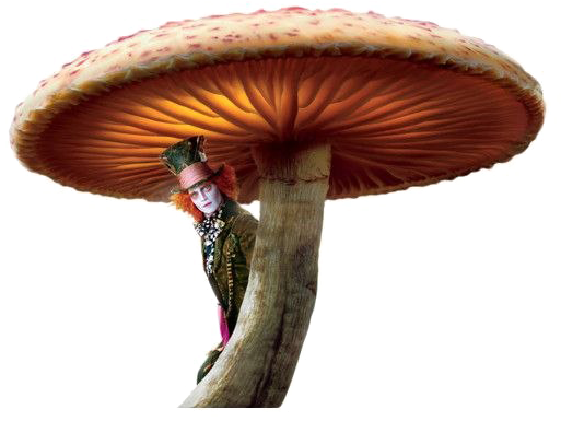 Toadstool Png Image - Alice In Wonderland Movie Png (600x600), Png Download