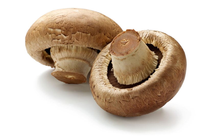 Toadstool Png Download Image - Brown Mushrooms (849x565), Png Download