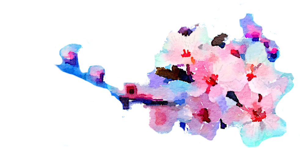 Free Watercolor Flowers Png - Celtic Petal Oil Diffuser Necklace With Free Sample (1024x640), Png Download