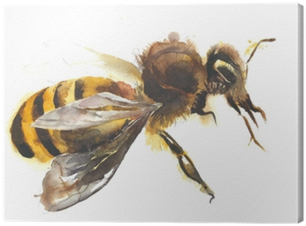 Honey Bee Watercolor Painting Hand Made Isolated On - Watercolor Painting (400x400), Png Download