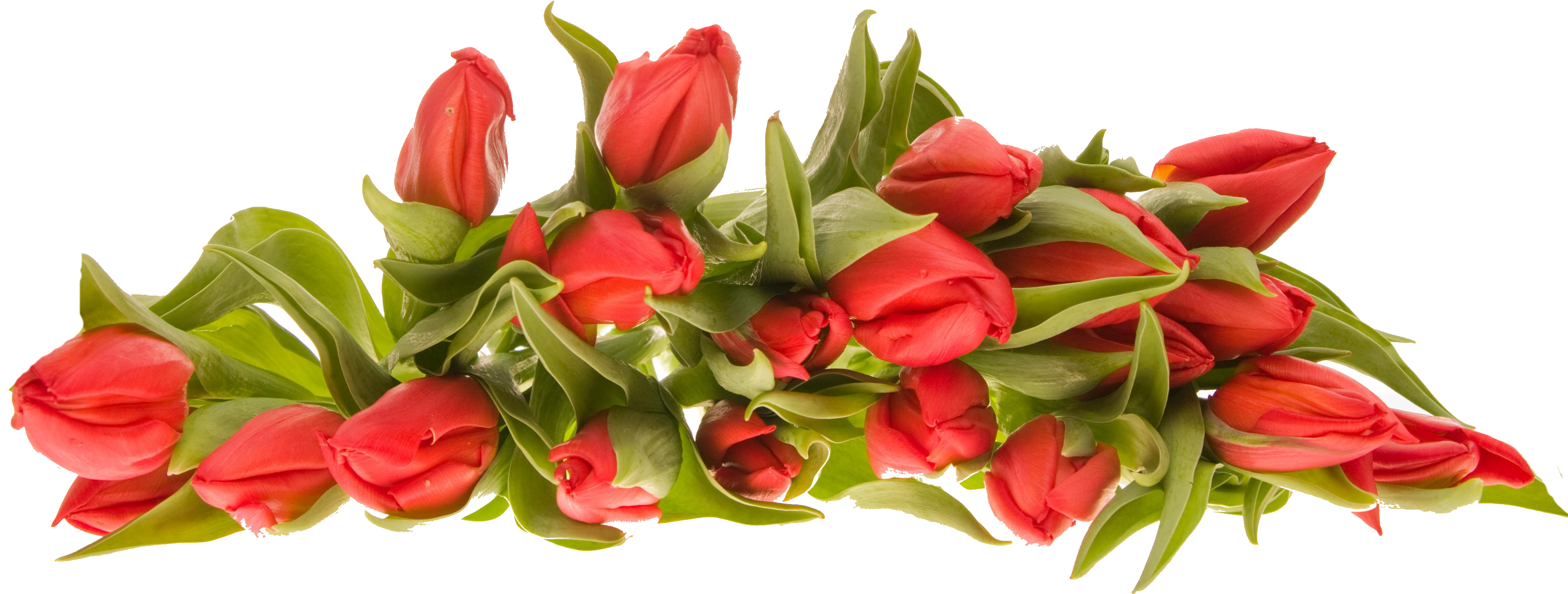 Bouquet Flowers Png - Bunch Of Flowers Png (3829x1507), Png Download