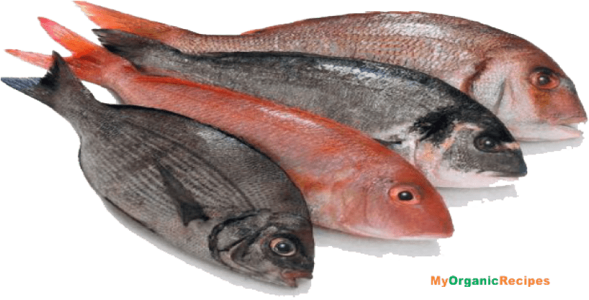 Free Png Fish Meat Png Images Transparent - Fish Meat (850x439), Png Download