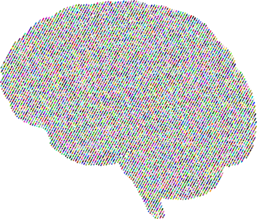 Neuron Background - Neurons In Brain Png (881x750), Png Download