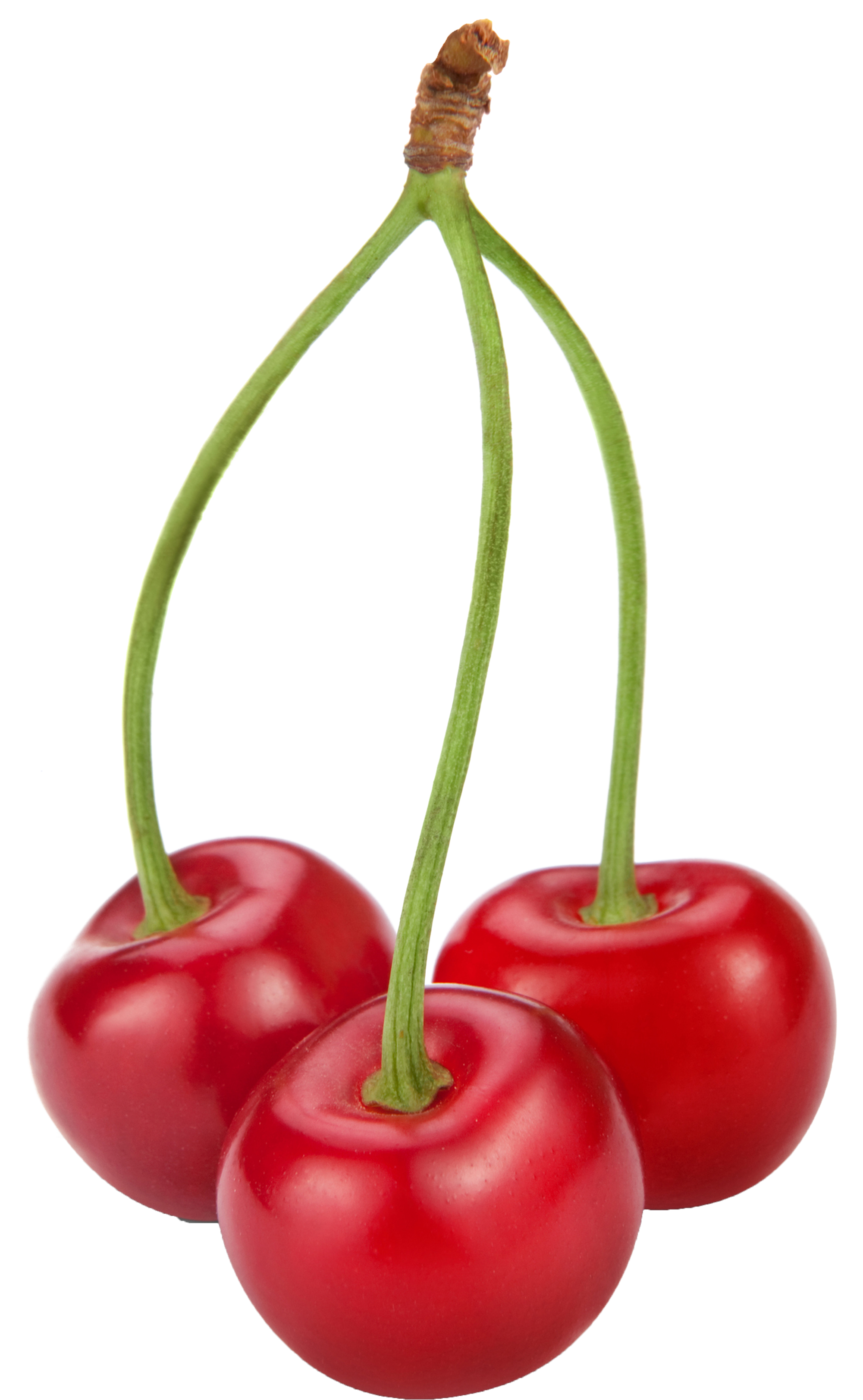 Cherries Clipart Png (2000x3302), Png Download