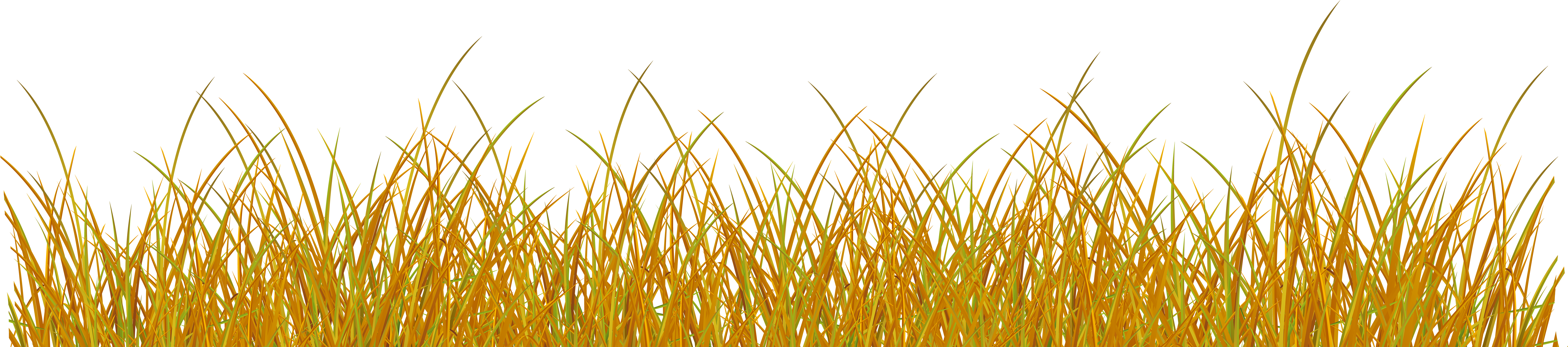 Grass Png (8000x1952), Png Download