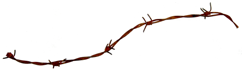 Barbed Wire Png - Barbed Wire (800x234), Png Download