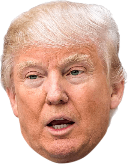 Trump Face - Donald Trump (427x547), Png Download