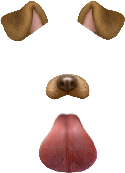 Snapchat Dog Filter - Snapchat Dog Filter Transparent (422x666), Png Download
