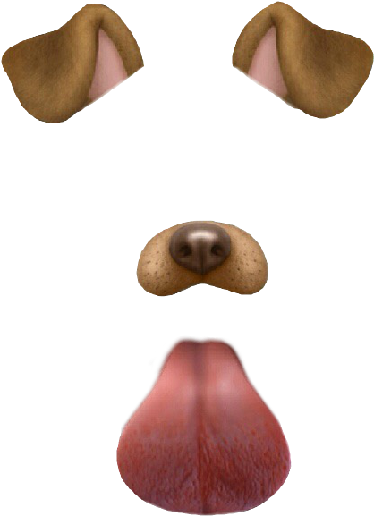 Der Ultimative 2026 Leitfaden Zu Snapchat Hunde Filtern Der Ultimative 2026 Leitfaden Zu Snapchat Hunde Filtern