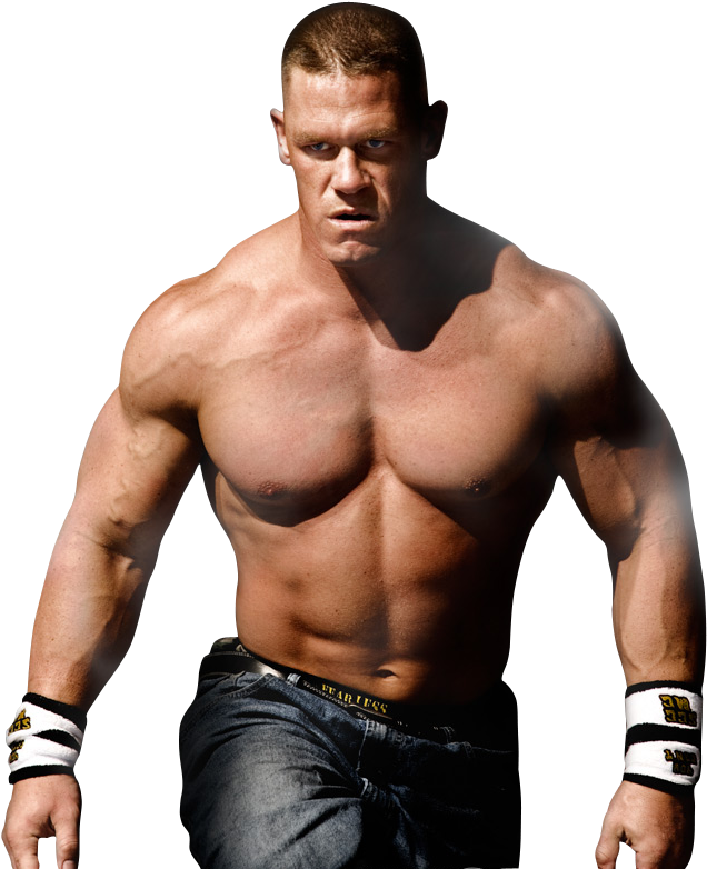 Enter Image Description Here - Wwe Survivor Series (2008) (700x788), Png Download