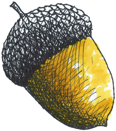 Acorn Watercolor 600dpi Color Copy 2 Format=1000w (427x480), Png Download