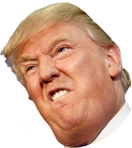    https://www.pngkey.com/png/full/4-41744_angry-side-face-trump-donald-trump-face-transparent.png