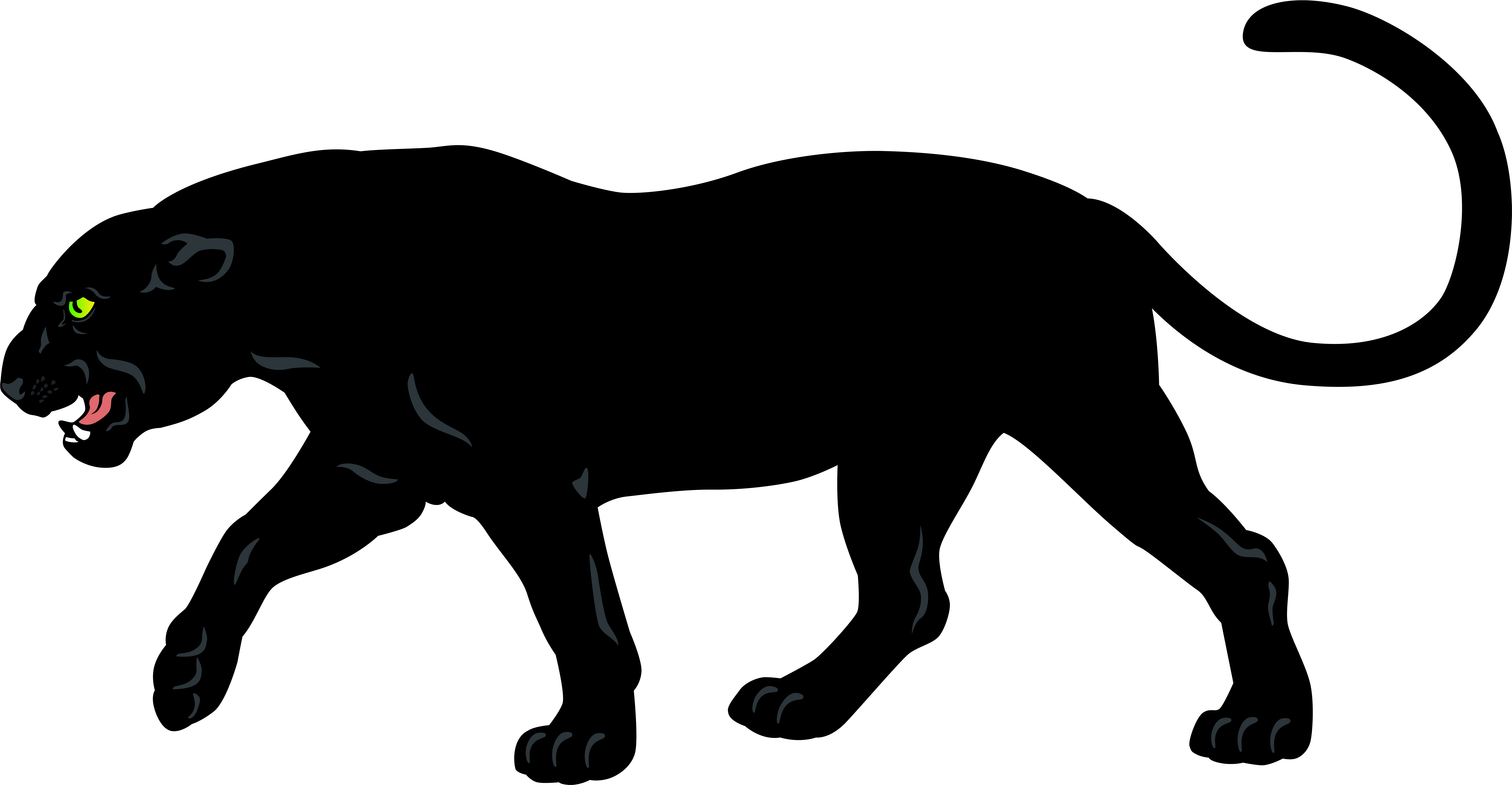 Stunning Ideas Panther Clipart Black Png Clip Art Image - Cougar Clip Art Png (8000x4180), Png Download