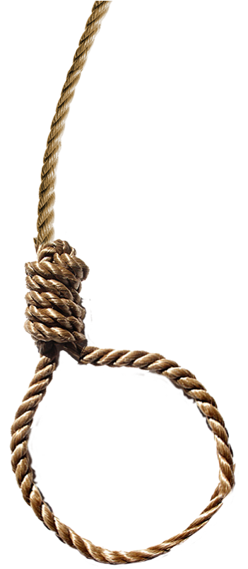 Stress Editing Background Download - Noose (1000x1390), Png Download