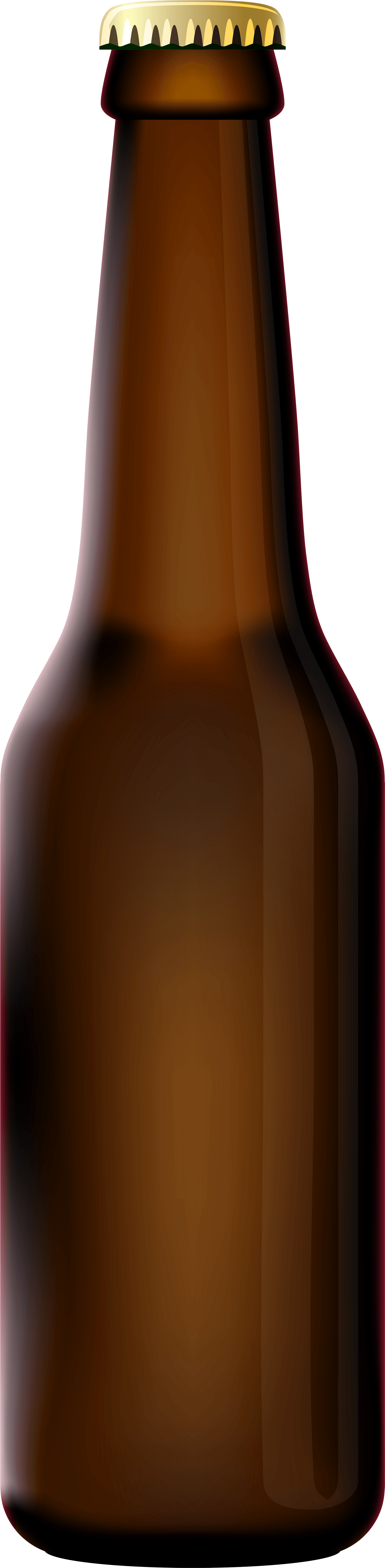 Beer Bottle Png Clip Art - Beer Bottle Clipart Png (1786x7000), Png Download