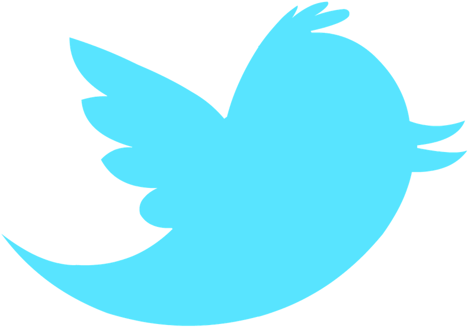 Twitter Bird Transparent - Twitter Icon Without Background (1108x828), Png Download