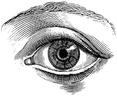 Eyes Illustration (400x400), Png Download