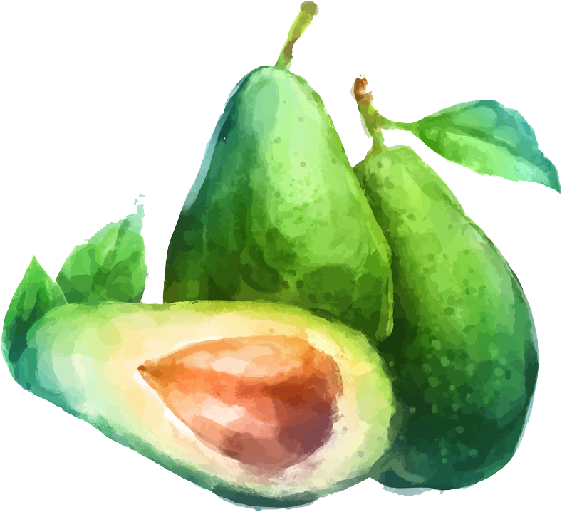 Watercolor Painting Fruit Drawing Illustration - Fruits Drawing Water Colour (1018x1024), Png Download