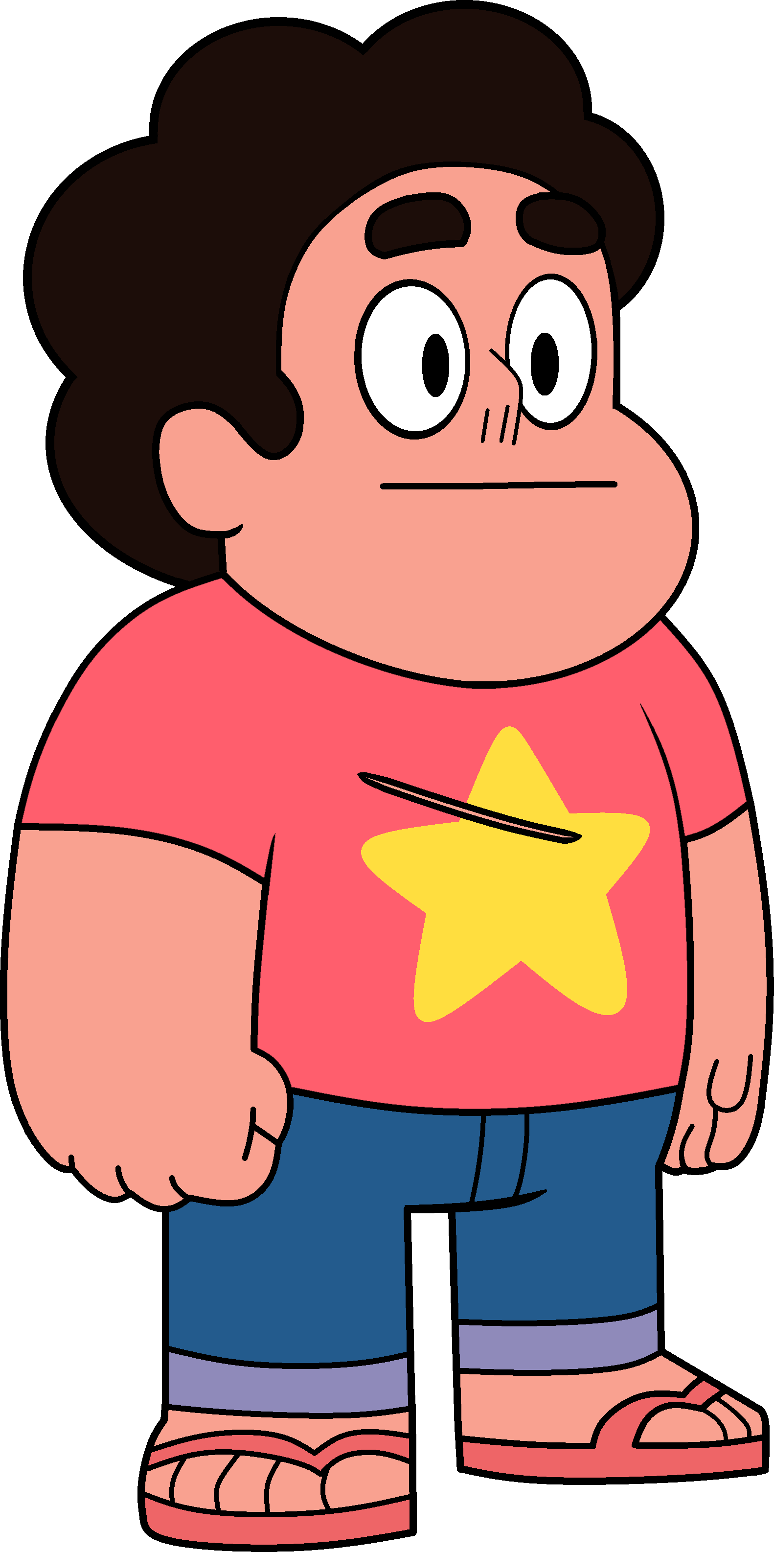 Steven With Scar - Garnet Shapeshifted Into Steven (1582x3171), Png Download