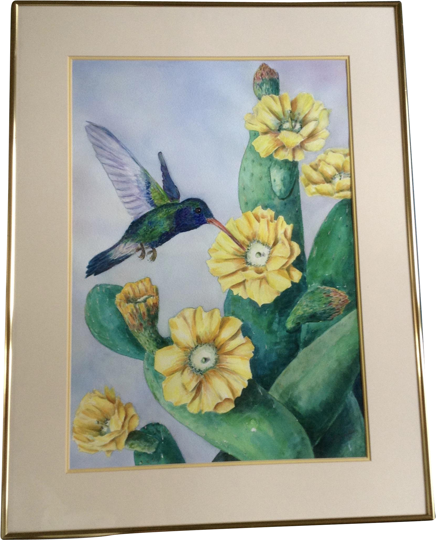 Jenkins, Hummingbird Drinking From A Yellow Cactus - Watercolor Painting (2048x2048), Png Download