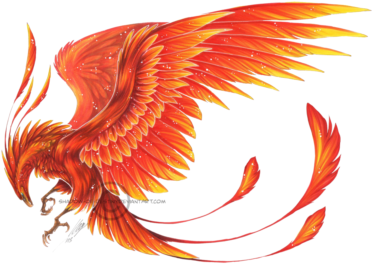 Phoenix - Phoenix Transparent (1280x898), Png Download