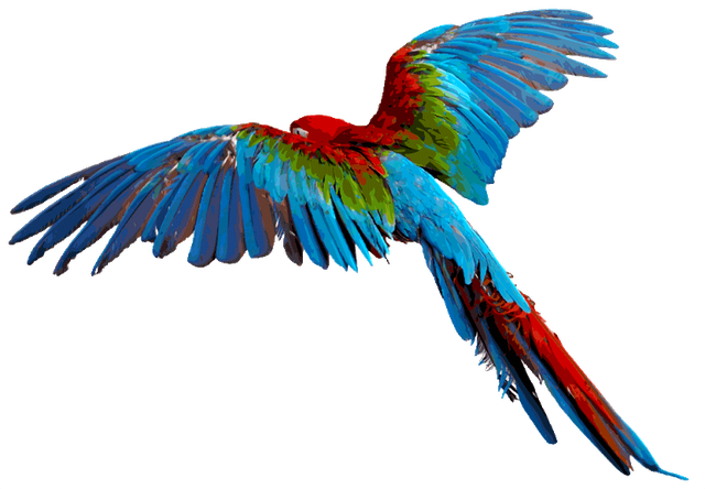 Macaw Png Transparent Macaw - Parrot Transparent Background (639x444), Png Download