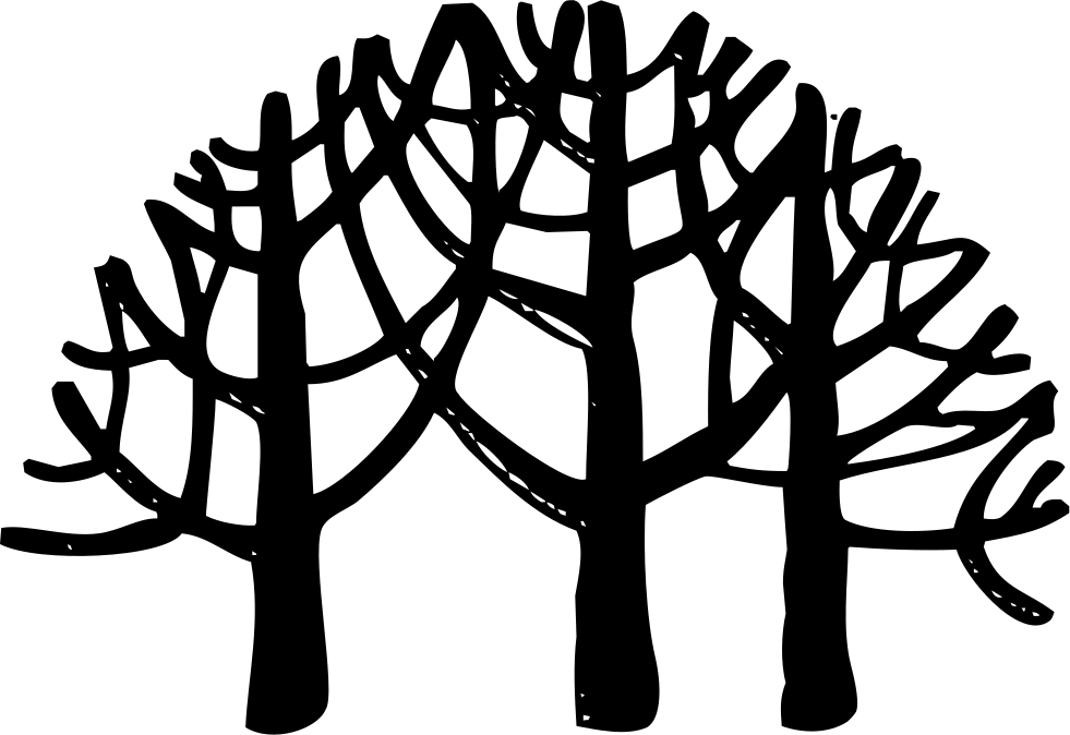 Png File - Tropical Rainforest (981x674), Png Download