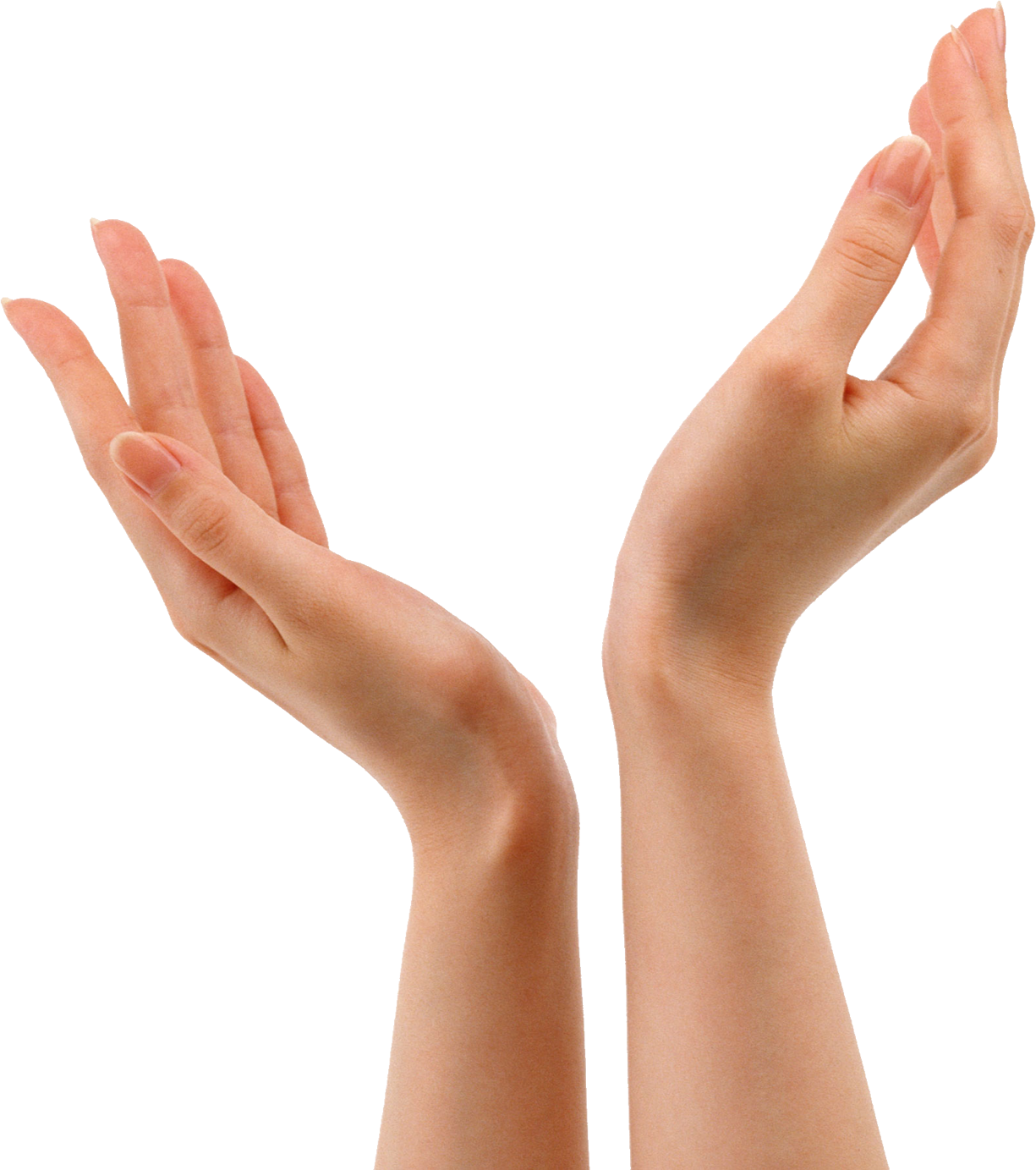 Hands Png (1225x1383), Png Download