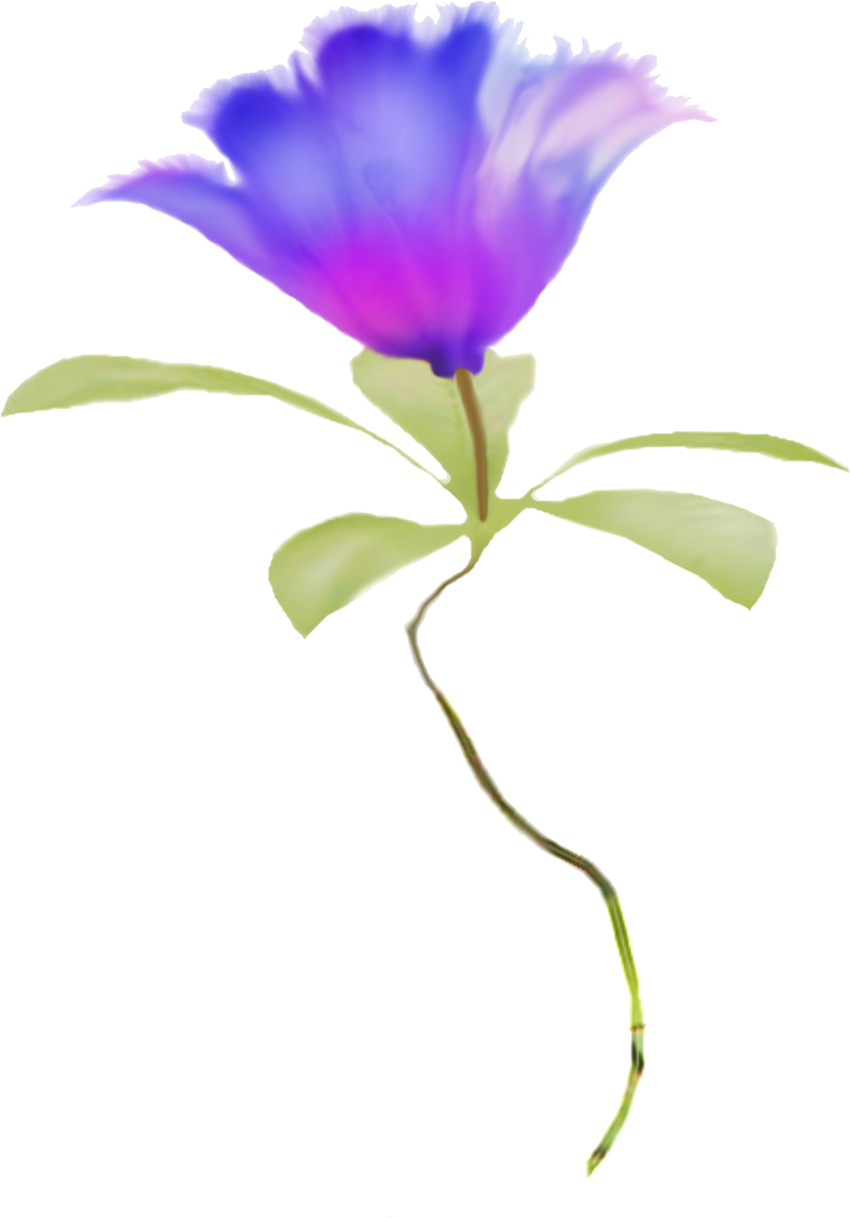 Blue Flower Clipart Real Pencil And In Color Blue Flower - Watercolor Flower Blue Flowers Png Border (1260x1800), Png Download