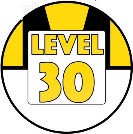 Level 30 Customizable Pokemon Go Account - Igenix Ig3091 - Microwave Oven With Convection And (480x480), Png Download