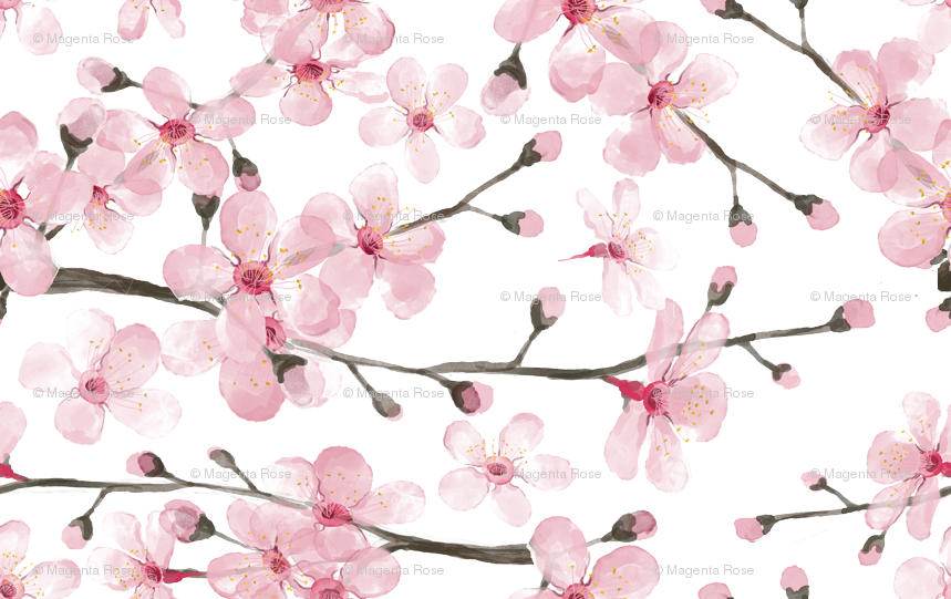 Cherry Blossom Watercolor // Cherry Blossom Floral - Cherry Blossom Watercolor Png (859x541), Png Download