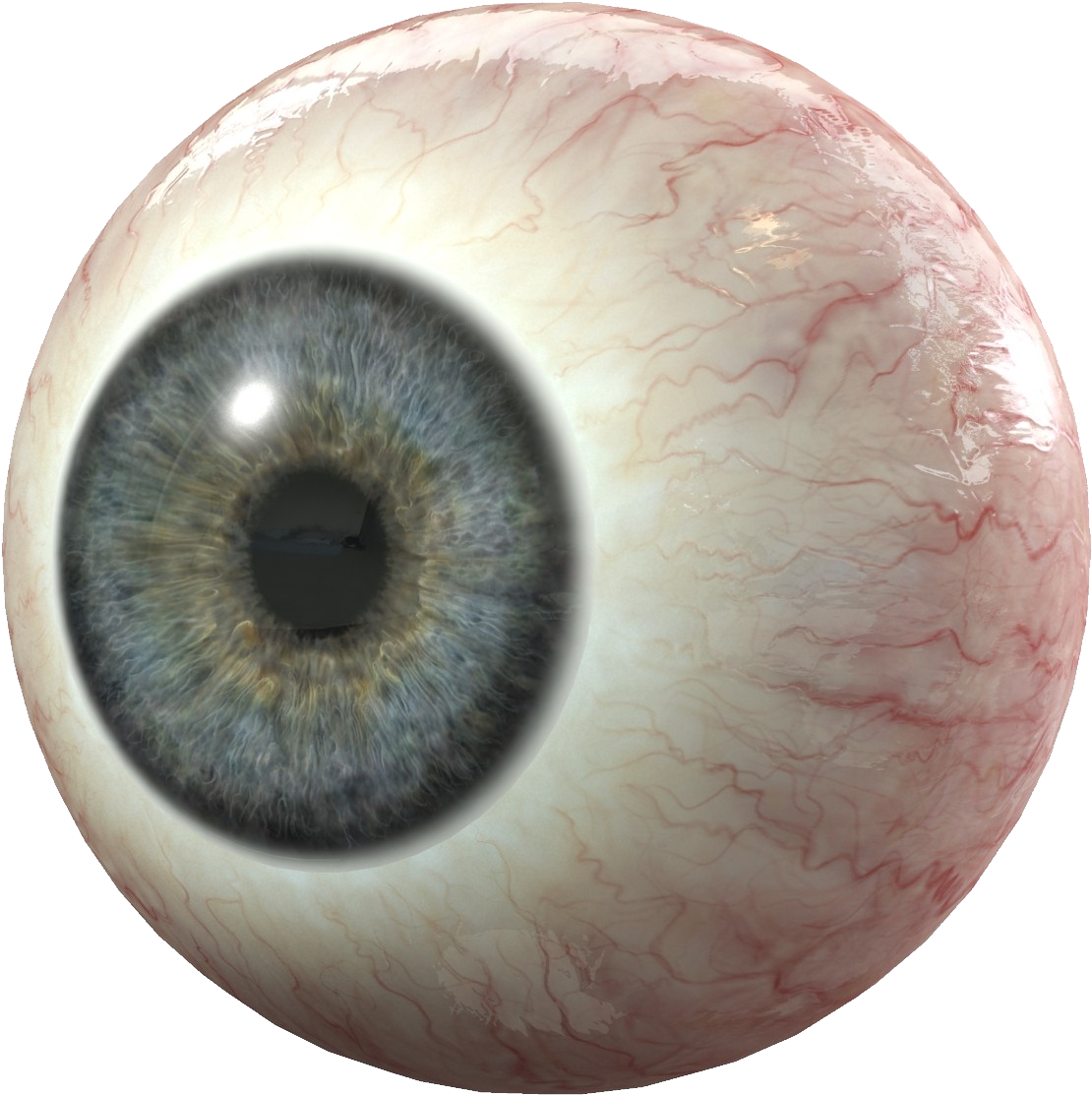 Human Eyes Png Vector Royalty Free Library - Eye 3d Model (1200x1200), Png Download