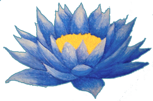 Lotus Flower Tattoos- High Quality Photos And Flash - Lotus Flower Blue Png (500x332), Png Download