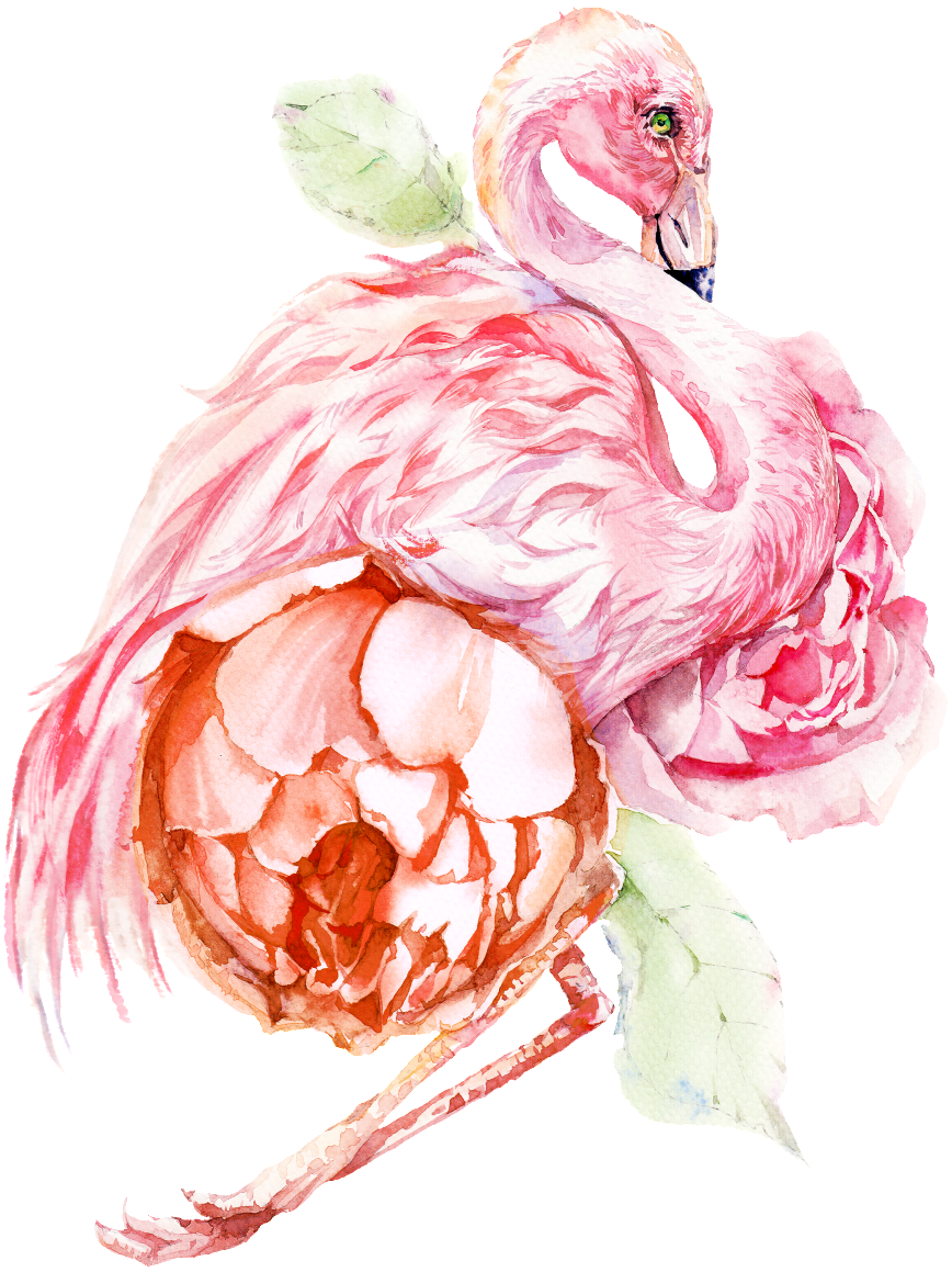This Graphics Is Hand Painted Flamingo Png Transparent - Flamingo Png (1024x1465), Png Download