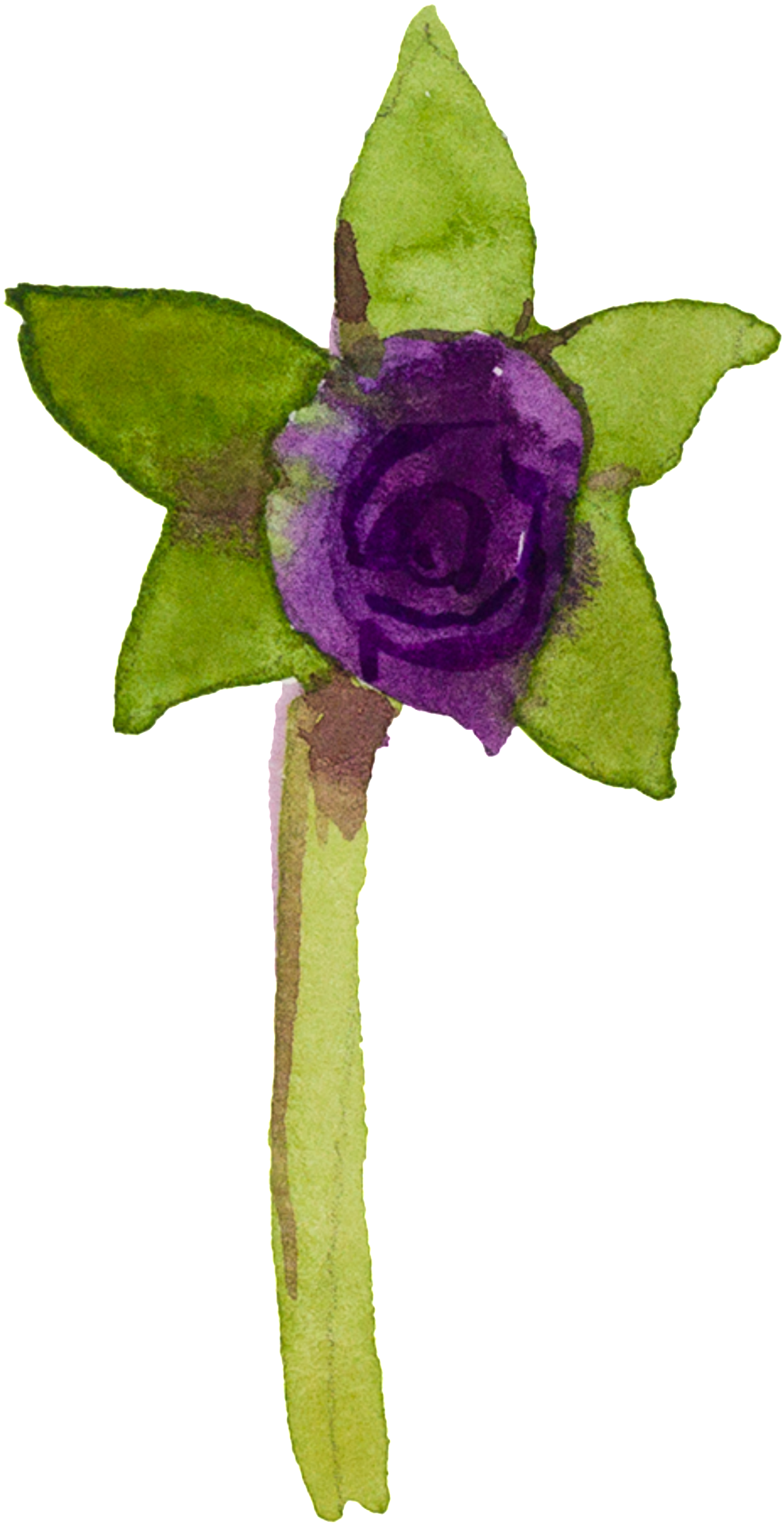 Purple Hand Painted Small Flower Watercolor Transparent - Watercolor Painting (1024x1931), Png Download