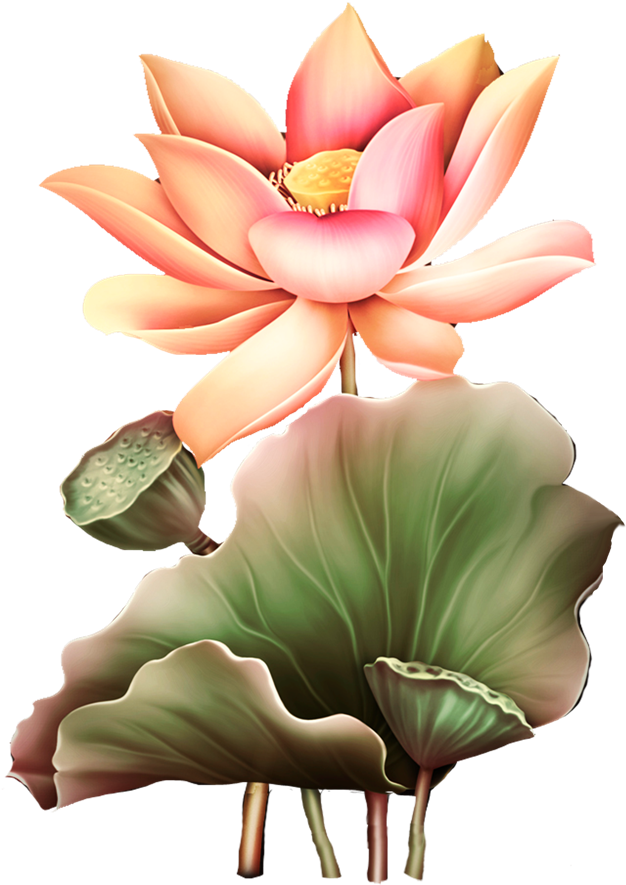 Image Du Blog Zezete2 - China Lotus Vector (650x919), Png Download