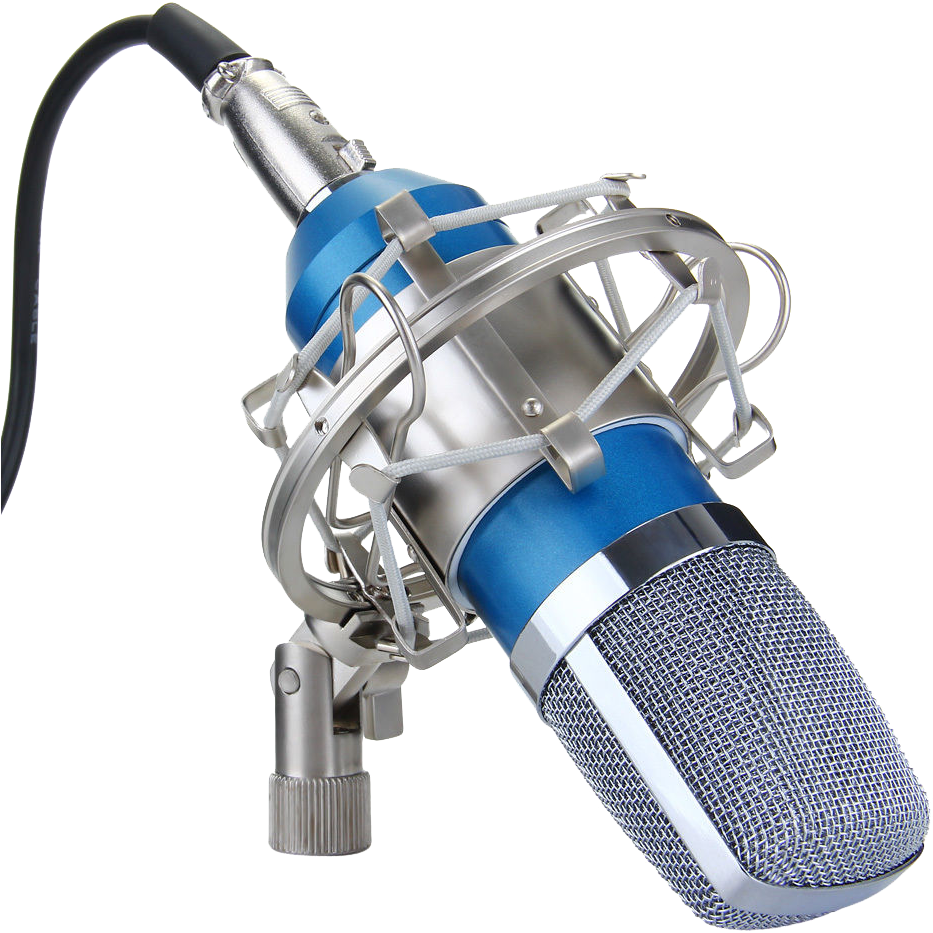 Recording Studio Microphone Transparent Png Image - Bm-700 Condenser Sound Recording Microphone And Metal (932x993), Png Download