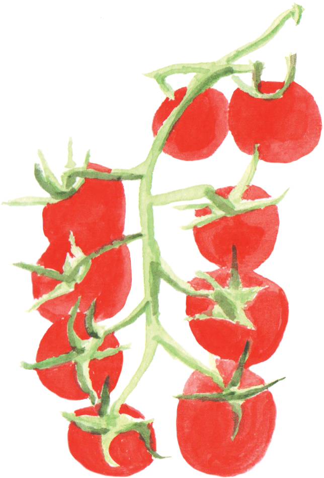 File - 小番茄cherrytomato - Thumbnail (644x949), Png Download