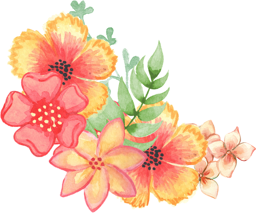 Floral, Decoration, Embellishment, Watercolor, Flowers - Public Domain Watercolor Flowers (866x720), Png Download