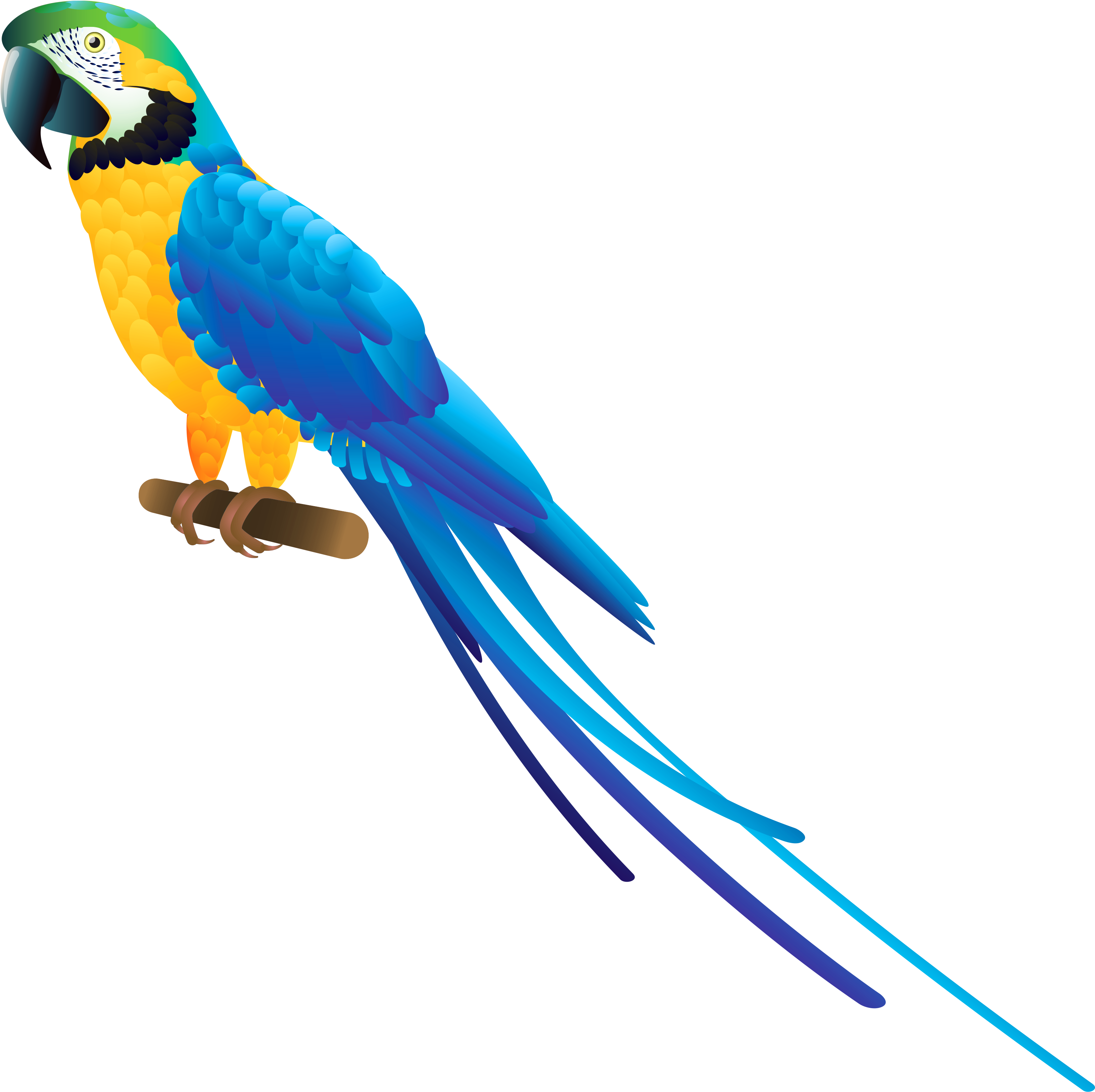 Blue Parrot Png Clipart - Parrot Png Clipart (3316x3290), Png Download