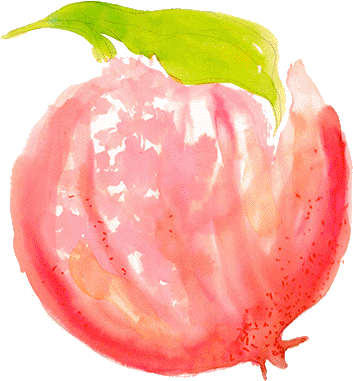 Thank You - Watercolor Fruits Pink Png (425x425), Png Download