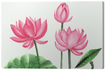 Watercolor Painting Of Pink Lotus Flower Canvas Print - Pink Lotus Water Color (400x400), Png Download