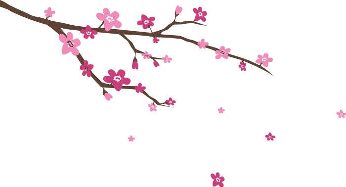 Image Blossoms Wall Decal Stickersstickers - Cherry Blossom Branch Svg (700x378), Png Download